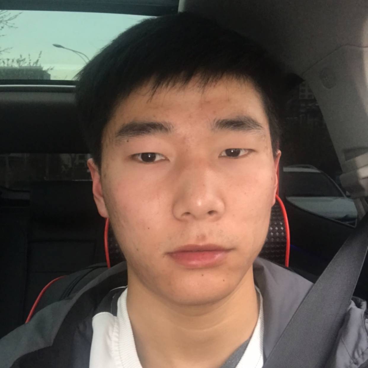 唯一的给长颈鹿的照片