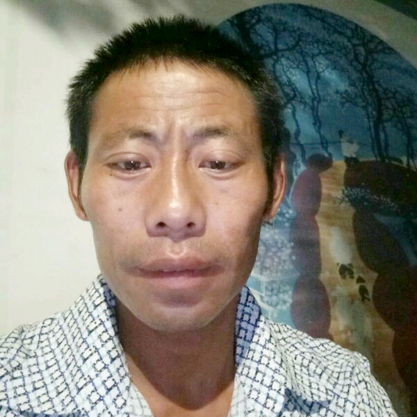 秋收果的照片