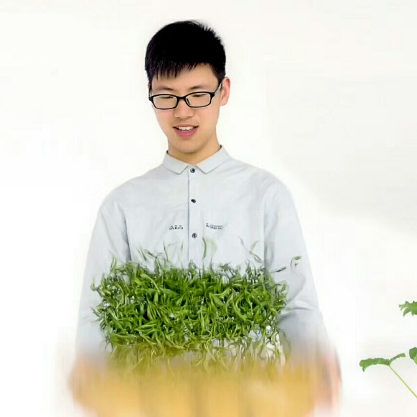 麓石的照片