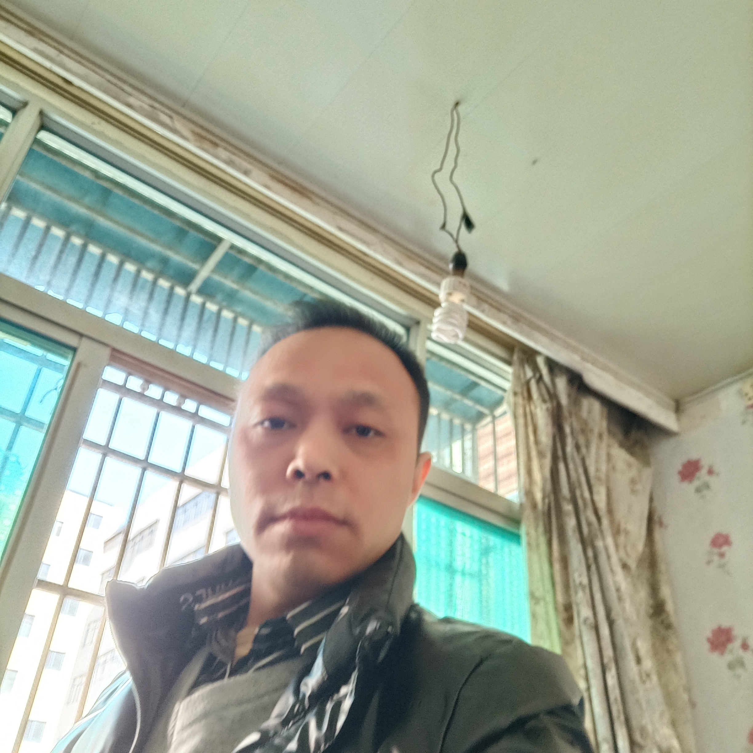 柠檬就坚定的照片