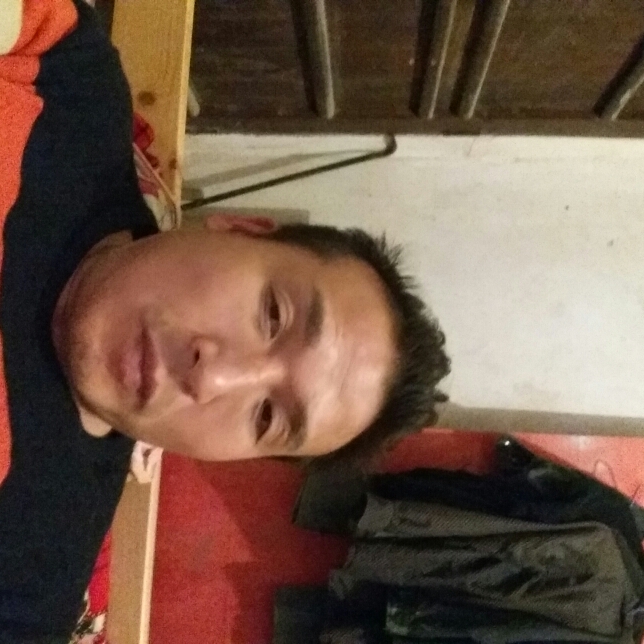 鸵鸟相许大意的照片