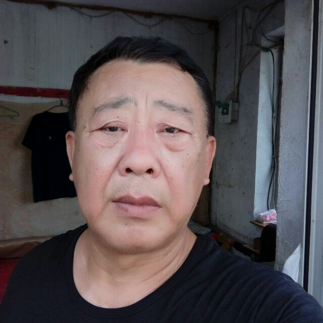 青松参天12345678的照片