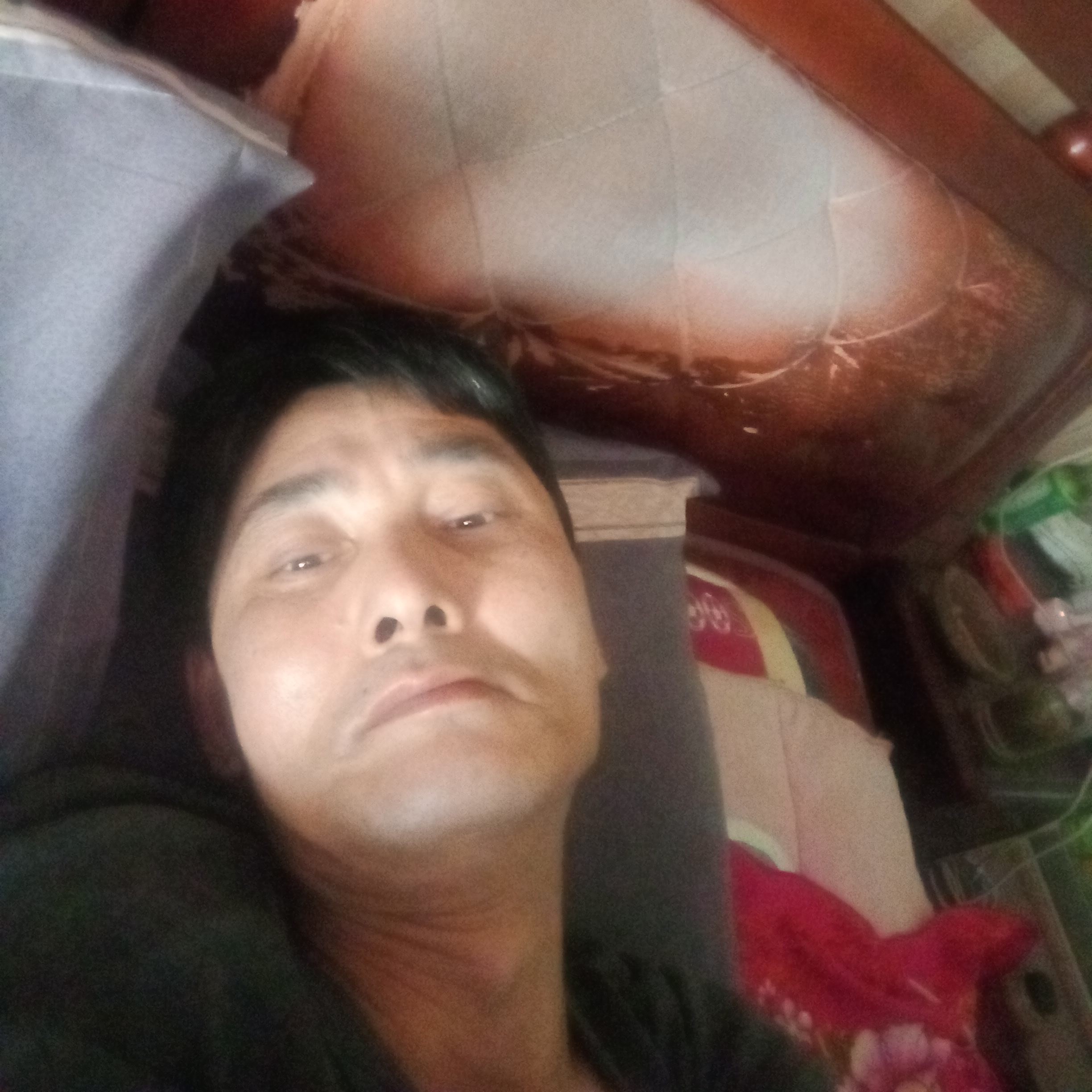 大胆那金鱼的照片