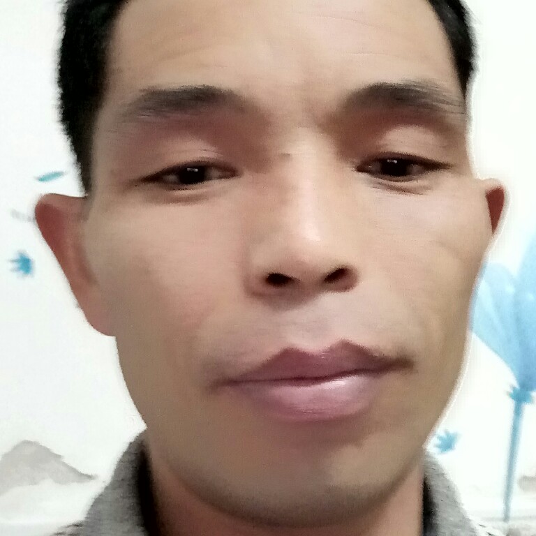 沉默热狗的照片
