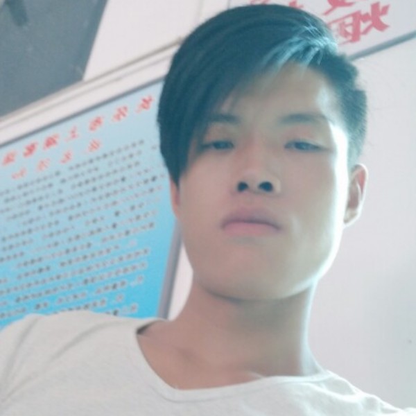 微笑飞鸟的照片