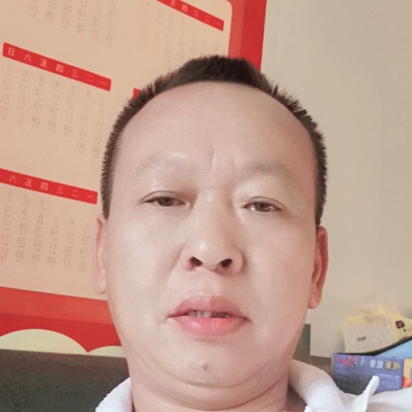 棒棒糖漫步腼腆的照片