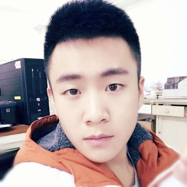 乌龟向活泼的照片