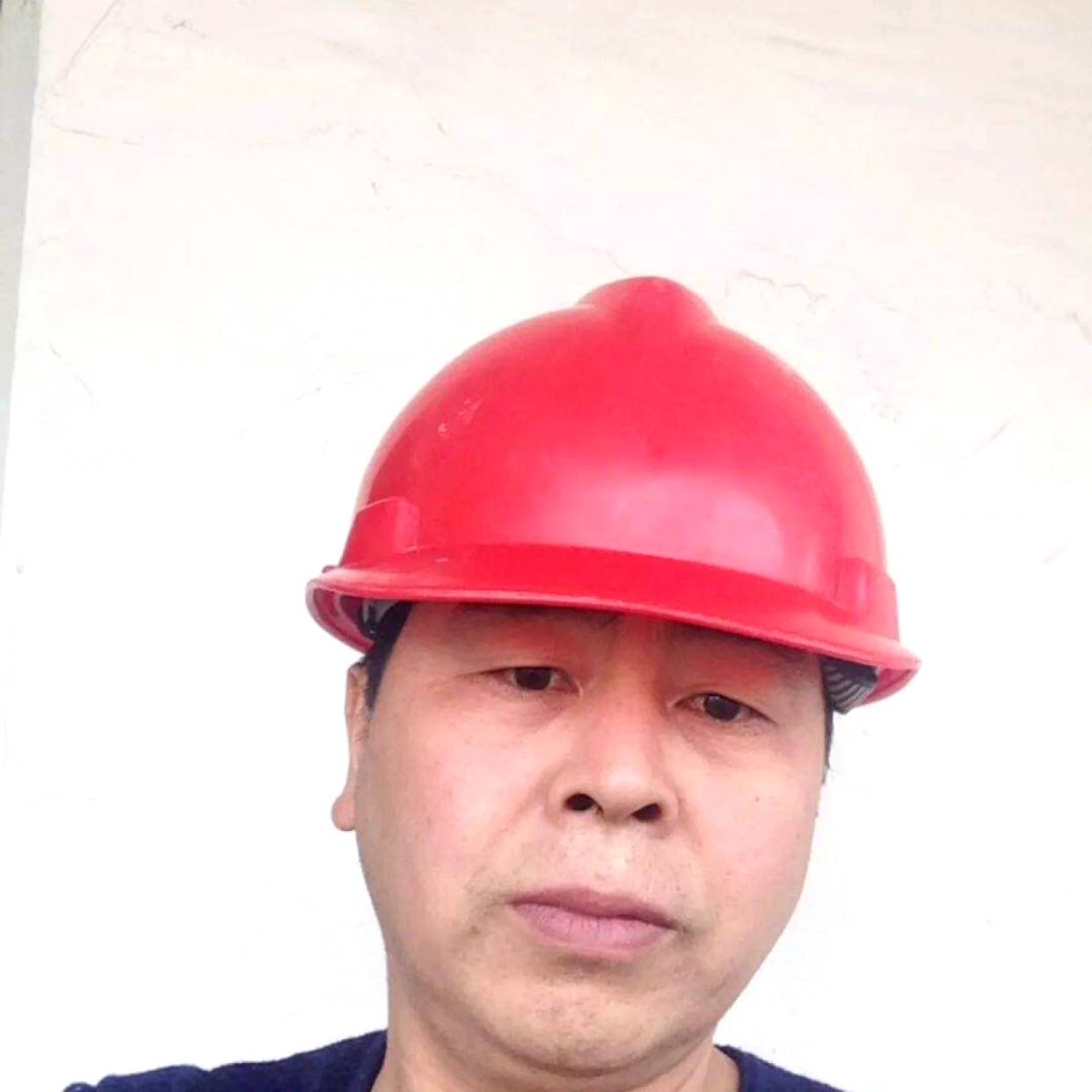忐忑打花瓣的照片