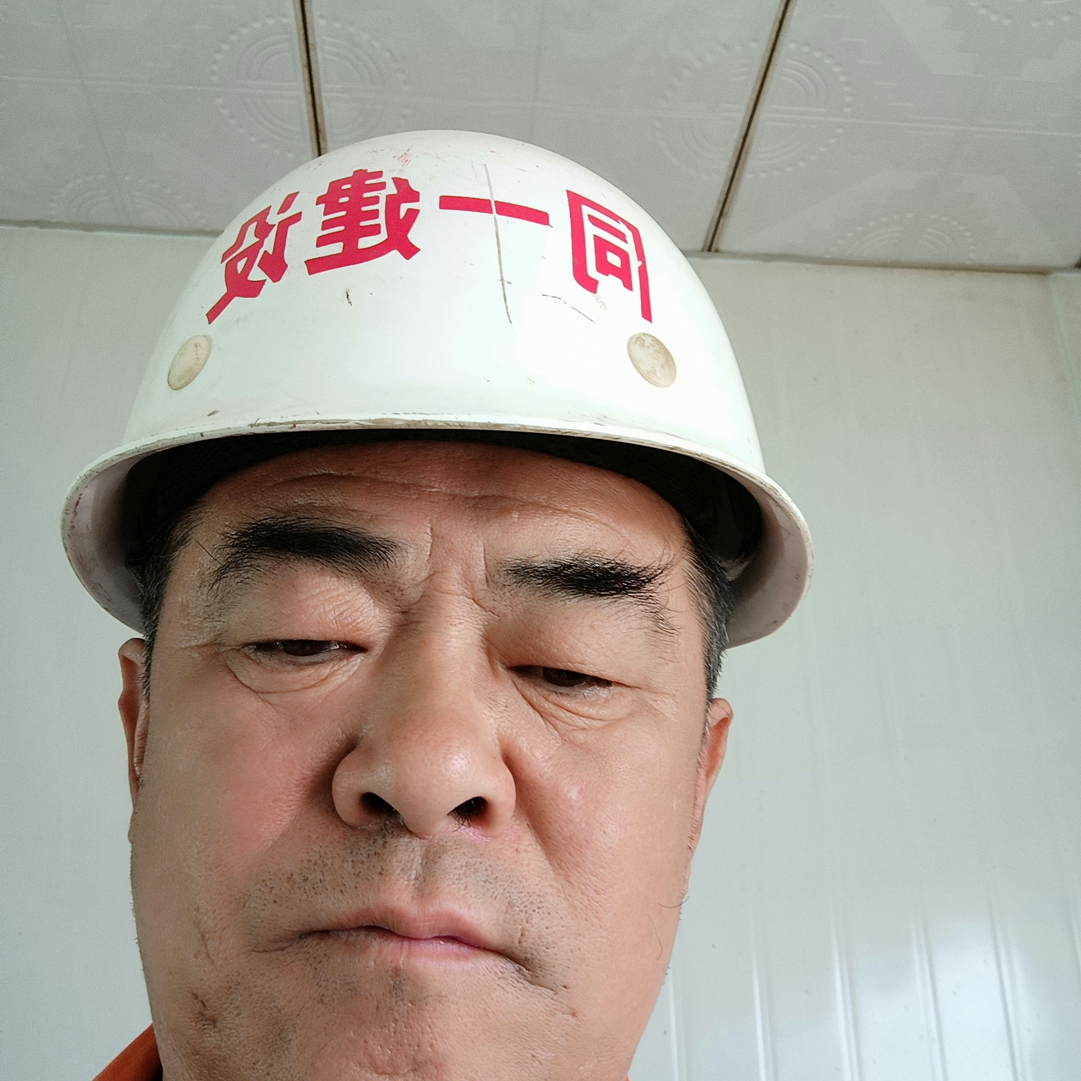 小兔子那沉静的照片
