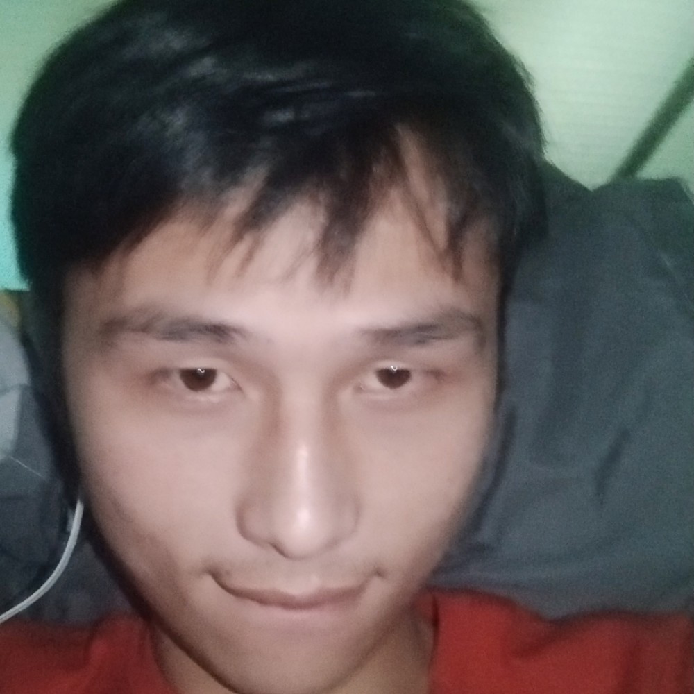 黄蜂爱恋单身的照片