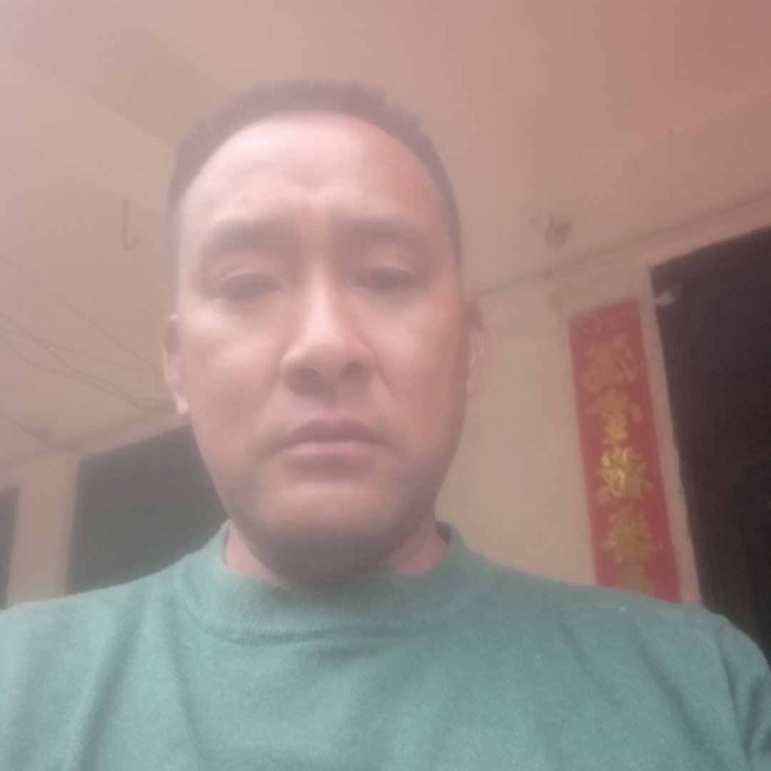 复杂演变砖头的照片