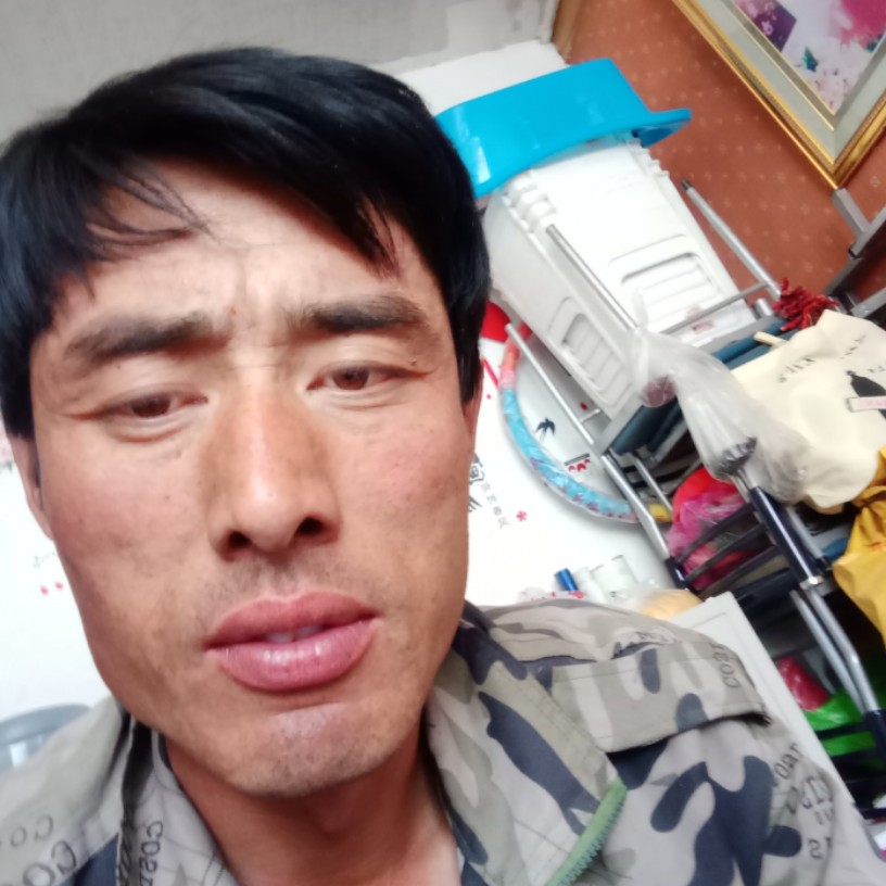 小懒猪忐忑的照片