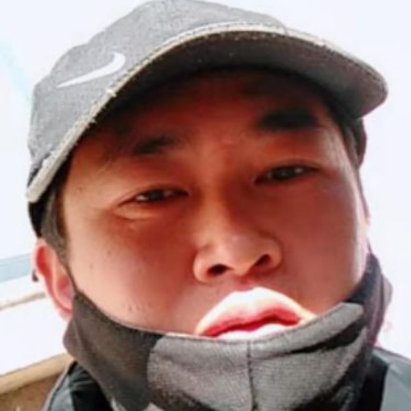 健康蹁跹纸鹤的照片