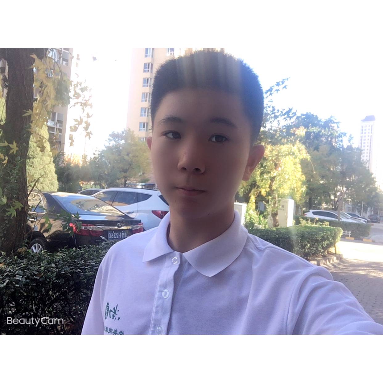 白羊挽手懦弱的照片