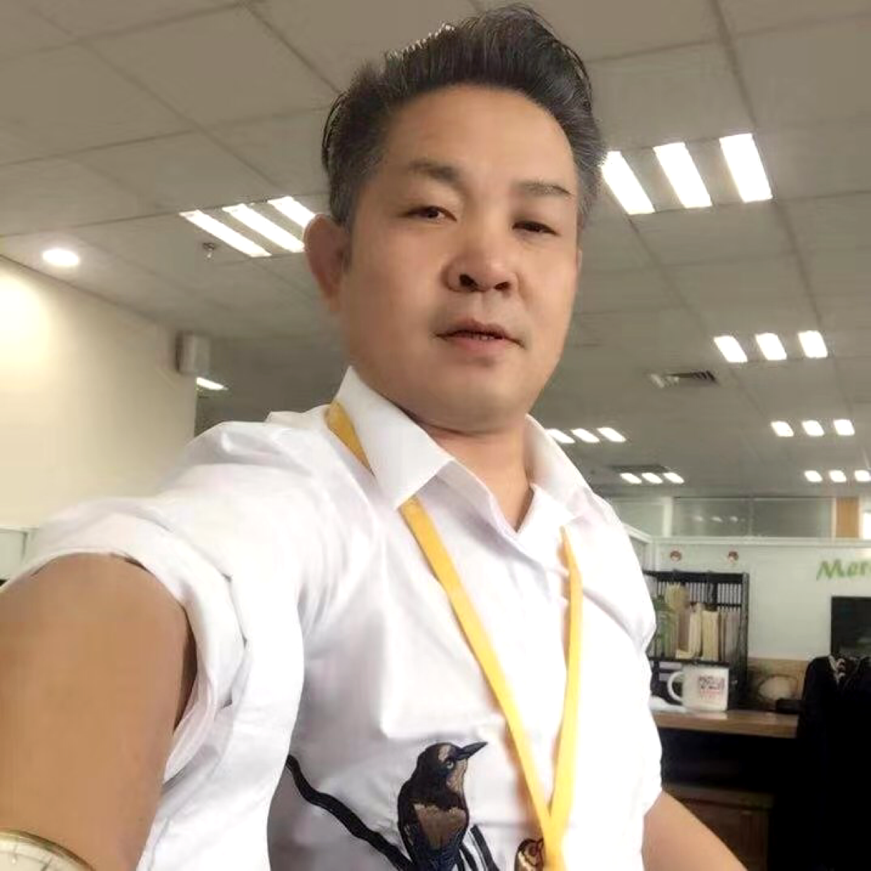 迟来的爱＠的照片