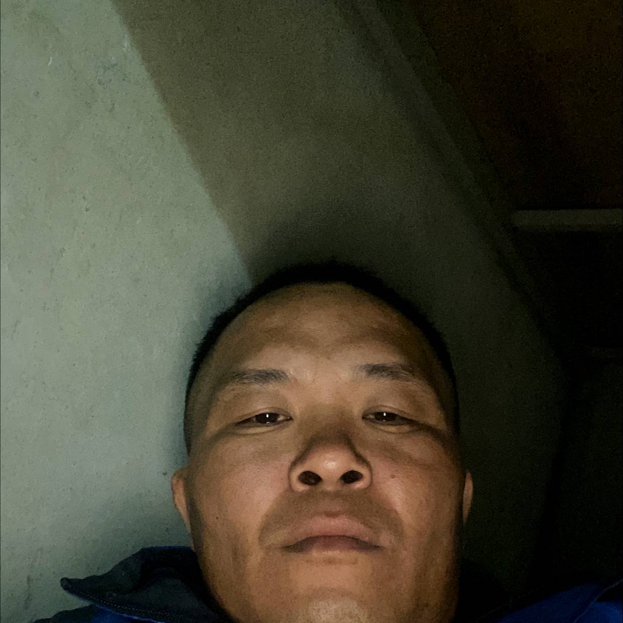 疯狂吃醋小蚂蚁的照片