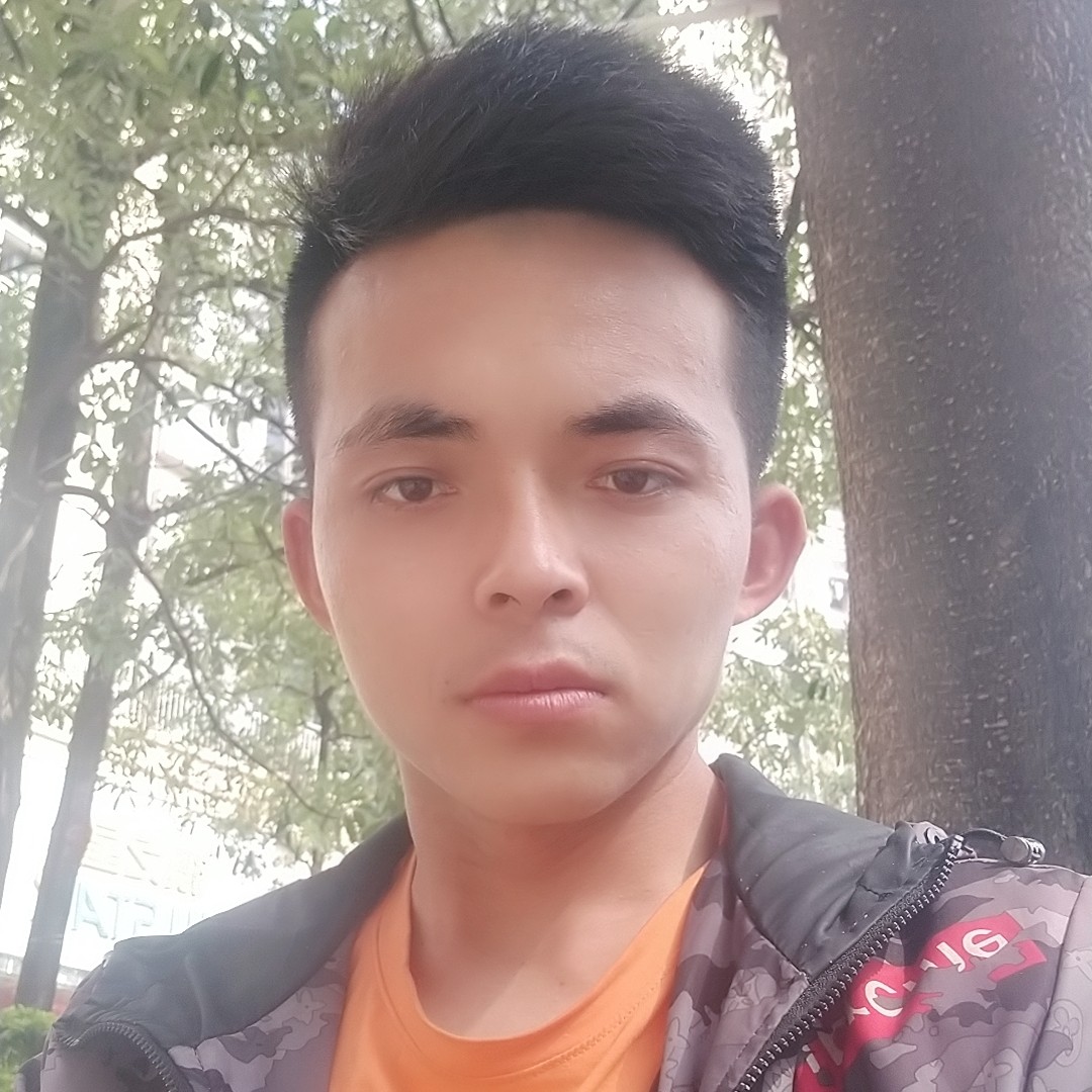 健壮漫步龙猫的照片