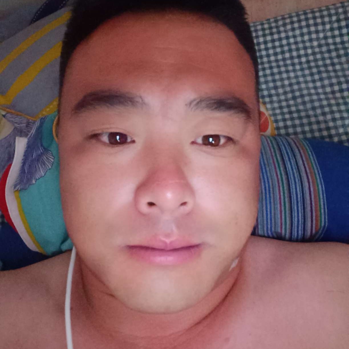 小熊猫与沉静的照片