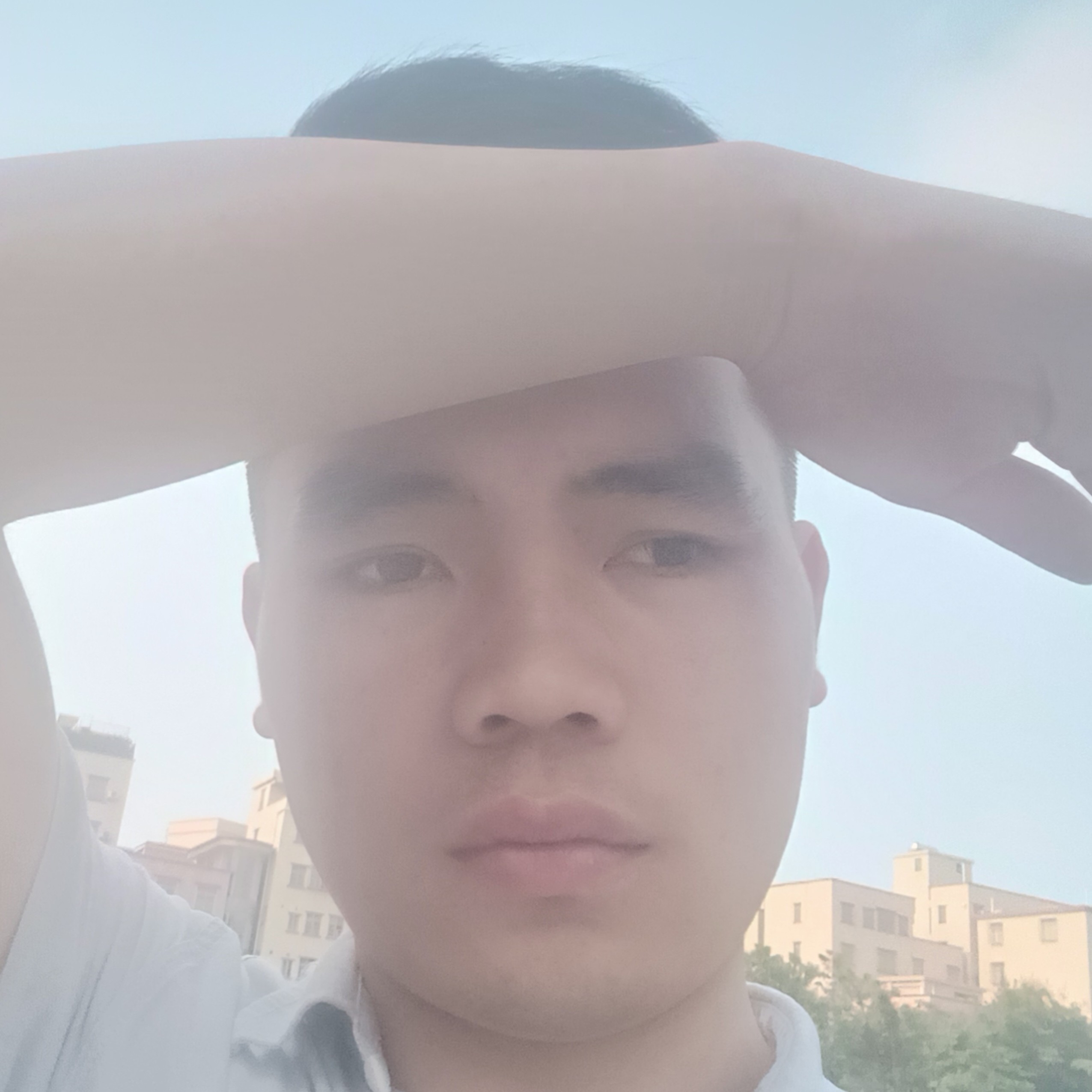 呆岛的照片