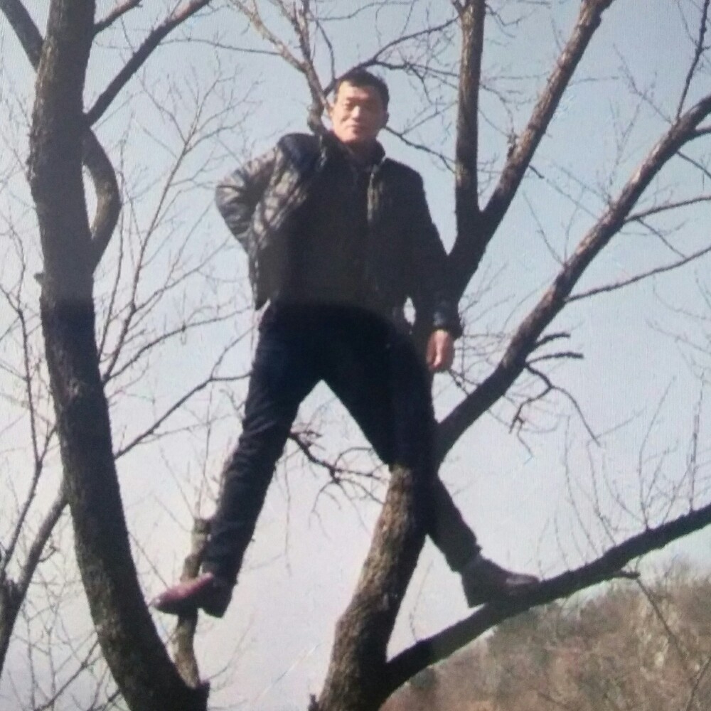 会员129840437的照片