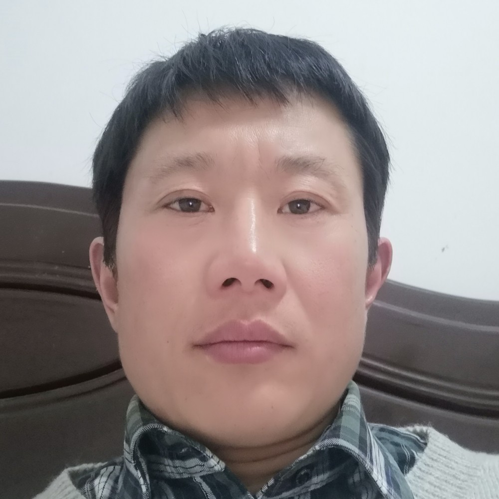 自行车回眸平常的照片