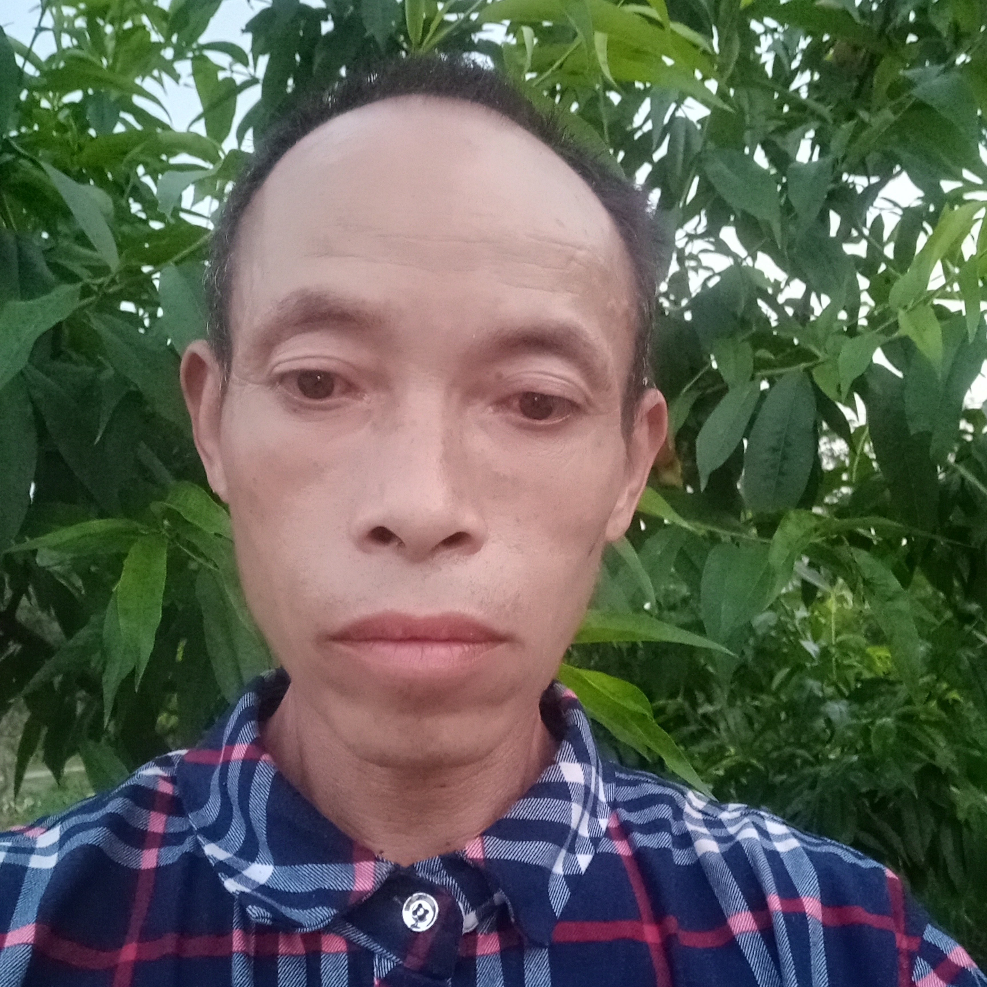 会撒娇拾忆洋葱的照片