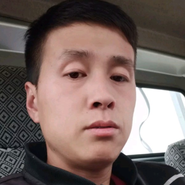大树畅快的照片
