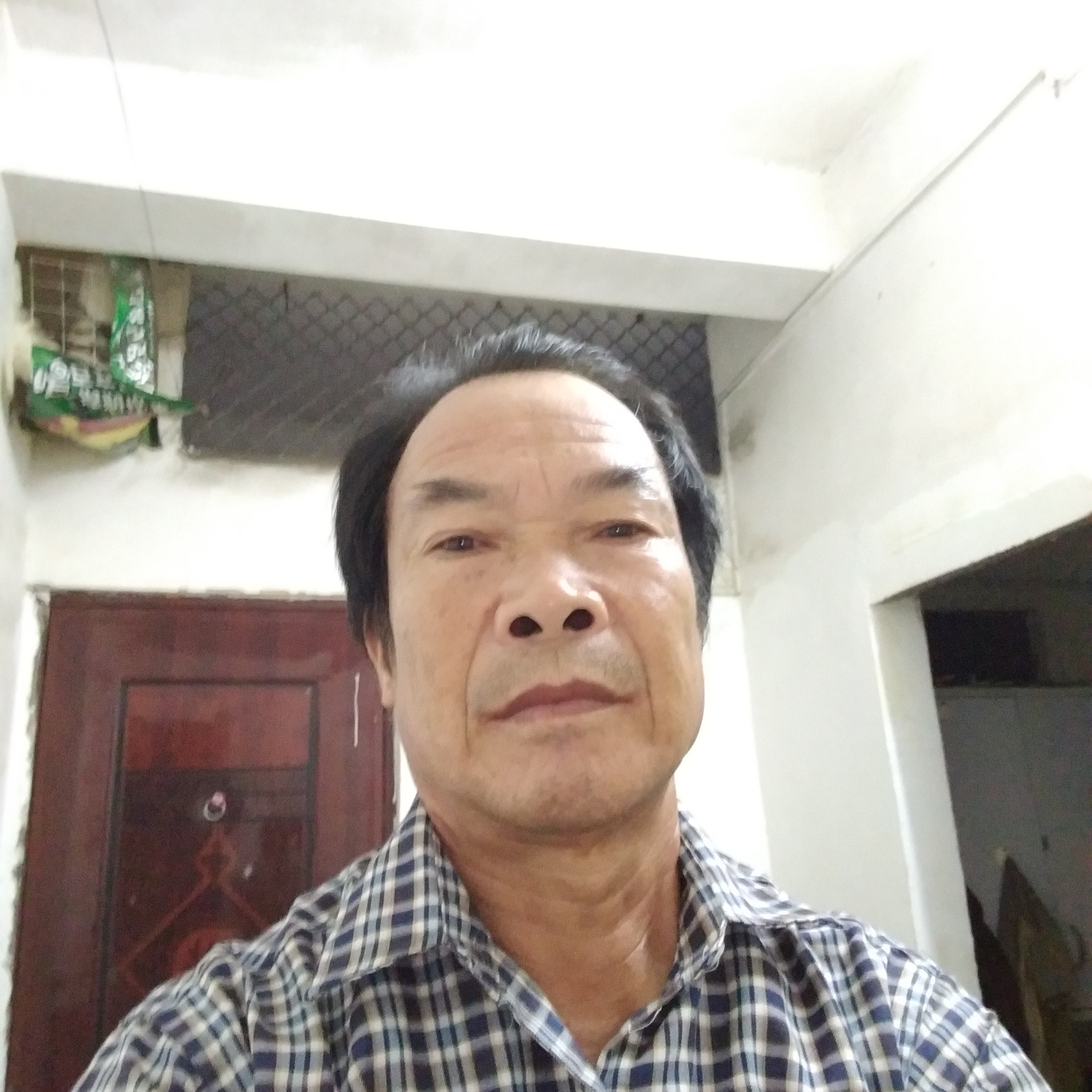 鸡闻舒心的照片