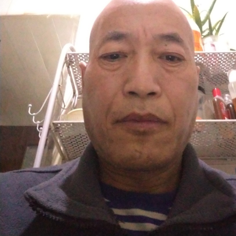 绵密蹁跹蚂蚁的照片