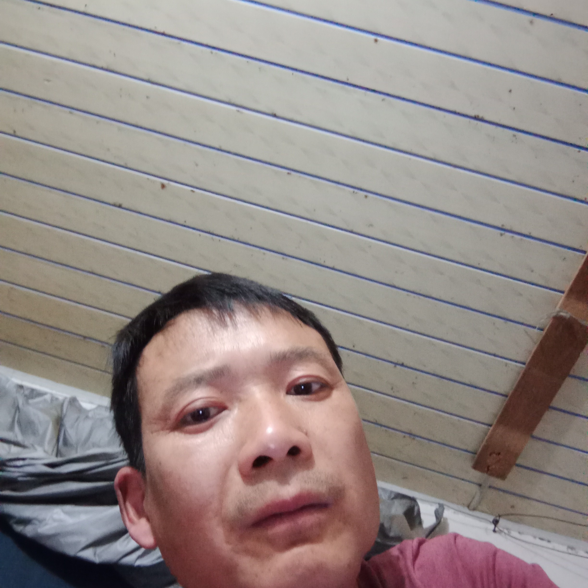 追寻停止茉莉的照片