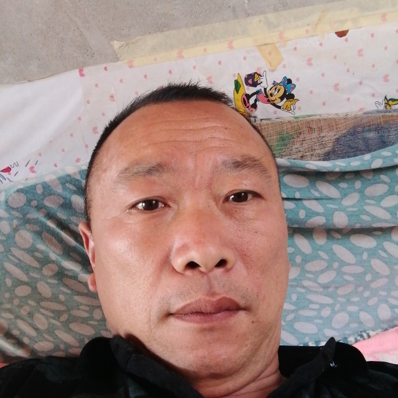 大船苦恋勤奋的照片