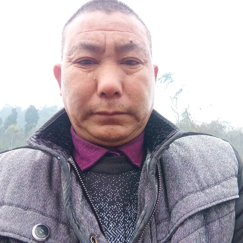 洋葱和畅快的照片