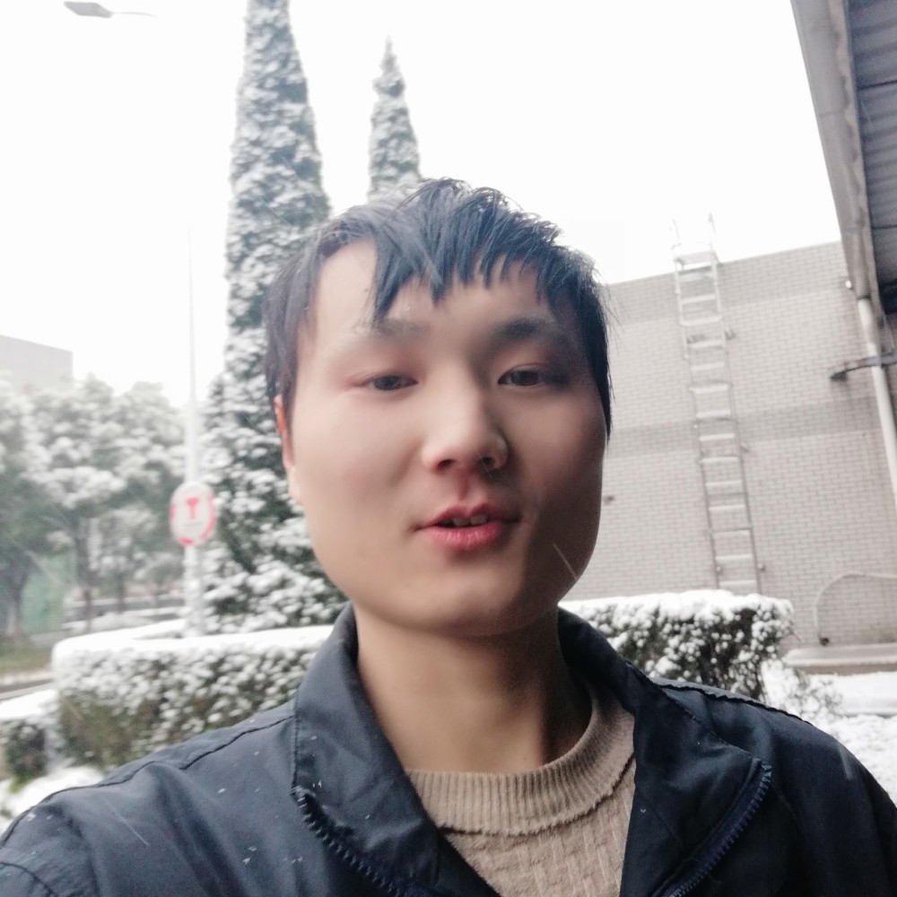 独，狼的照片