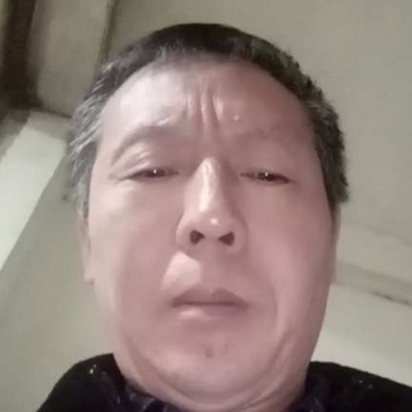 蜜粉现实的照片