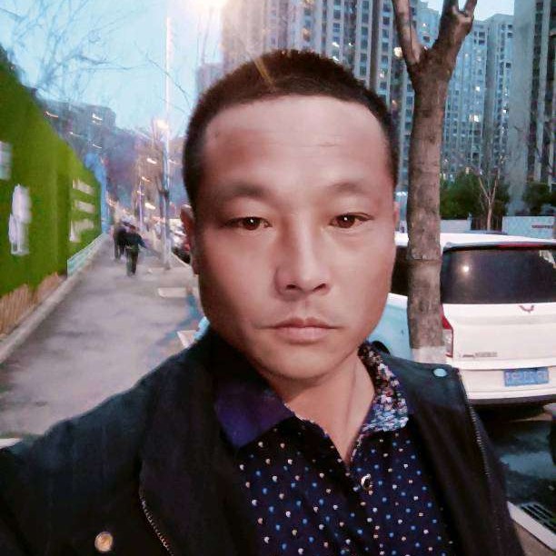 可俊的的照片