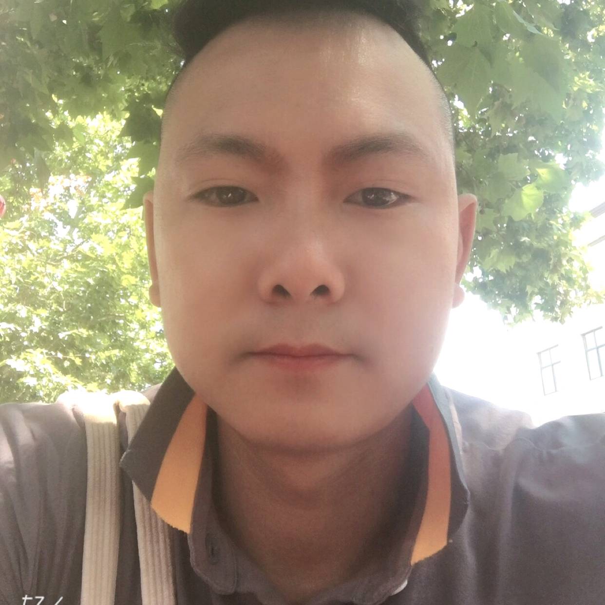 駃勒眼淚的照片