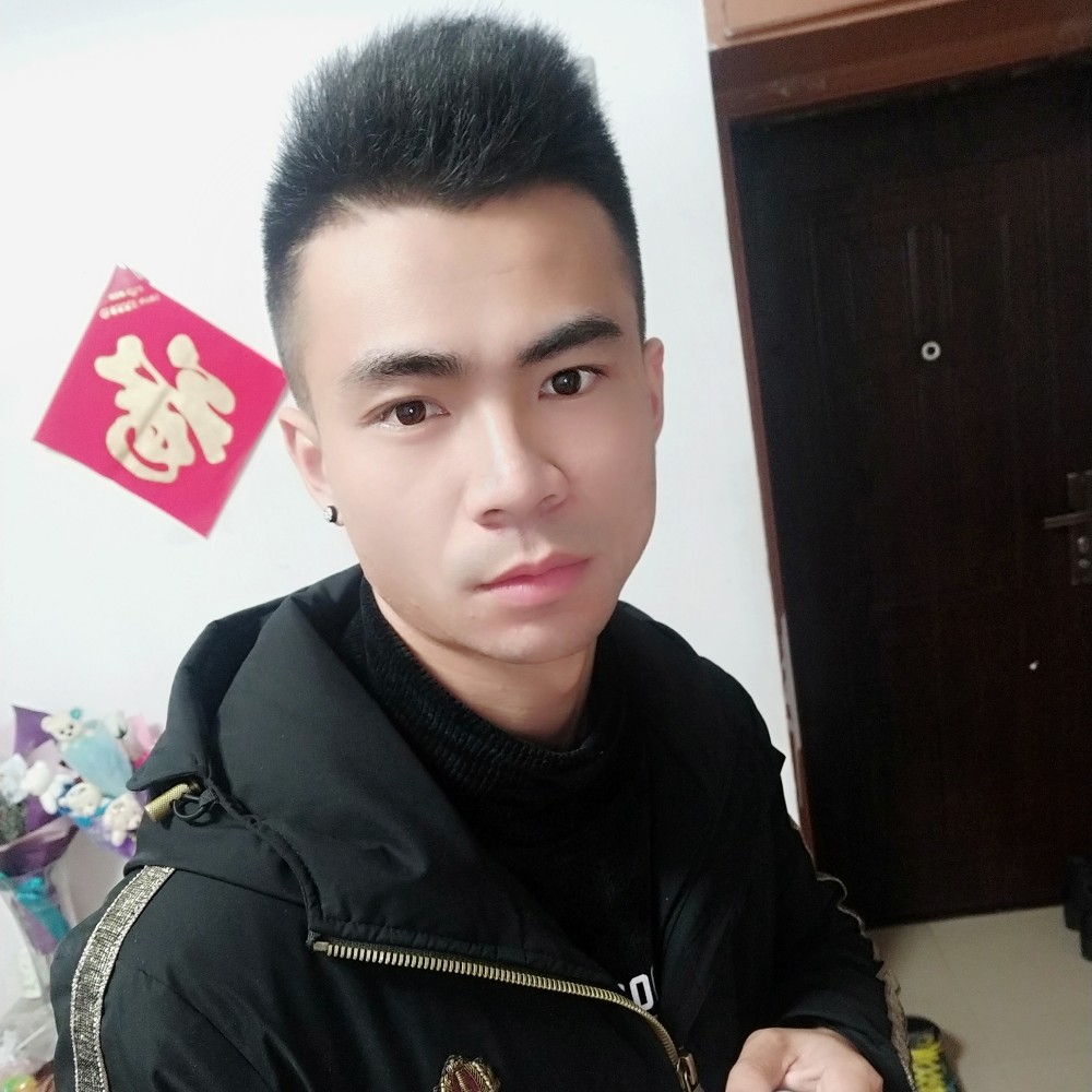 一颗茂盛的小草的照片