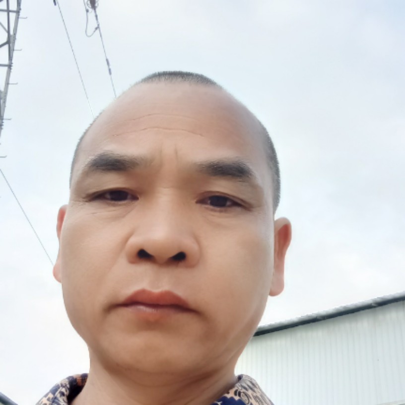 夕阳兴奋的照片