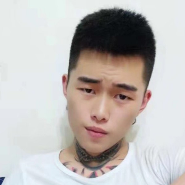 棒棒糖安详的照片