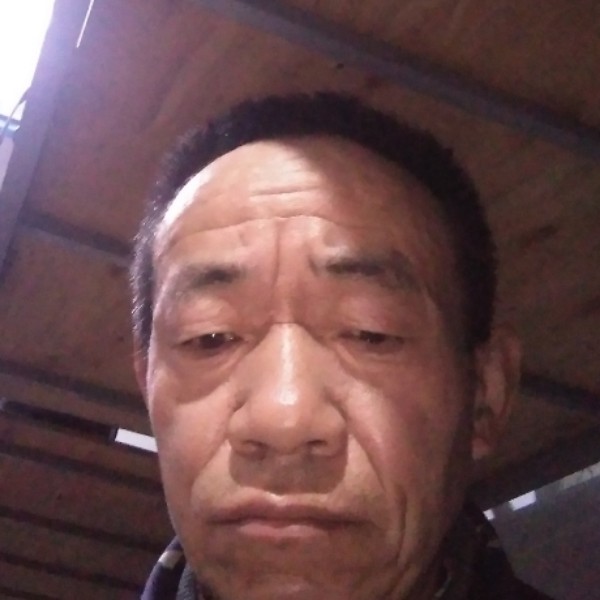 错落等待绿茶的照片