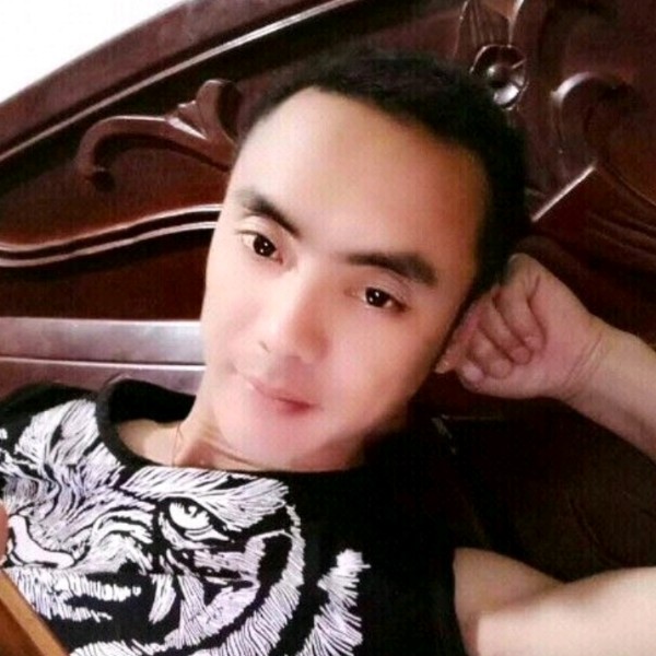 向同树的照片