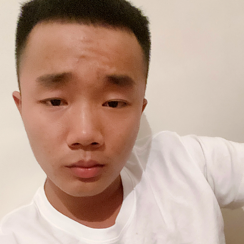 旅人甲的照片