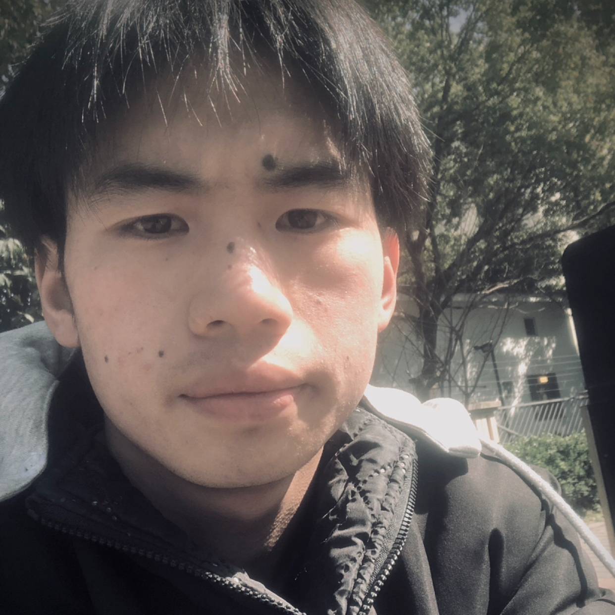 鸡你太美,的照片