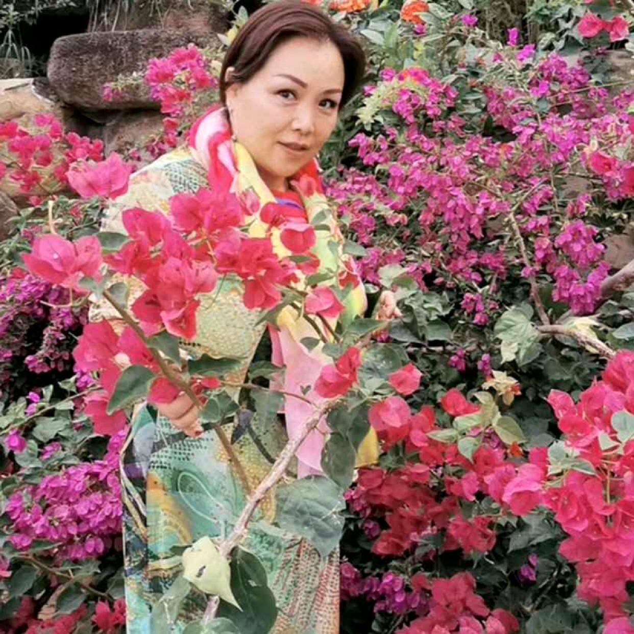 兰西531的照片