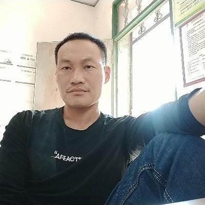 钻石狂野的照片