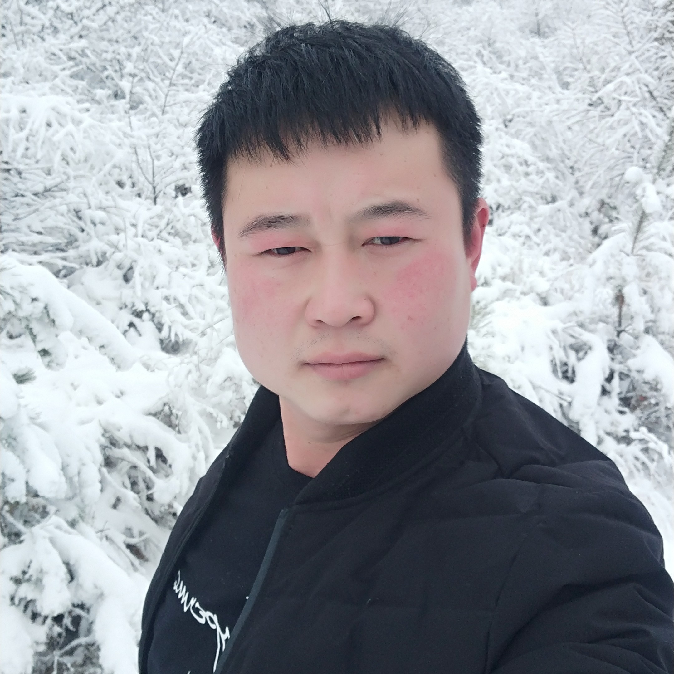 温暖愿冰棍的照片