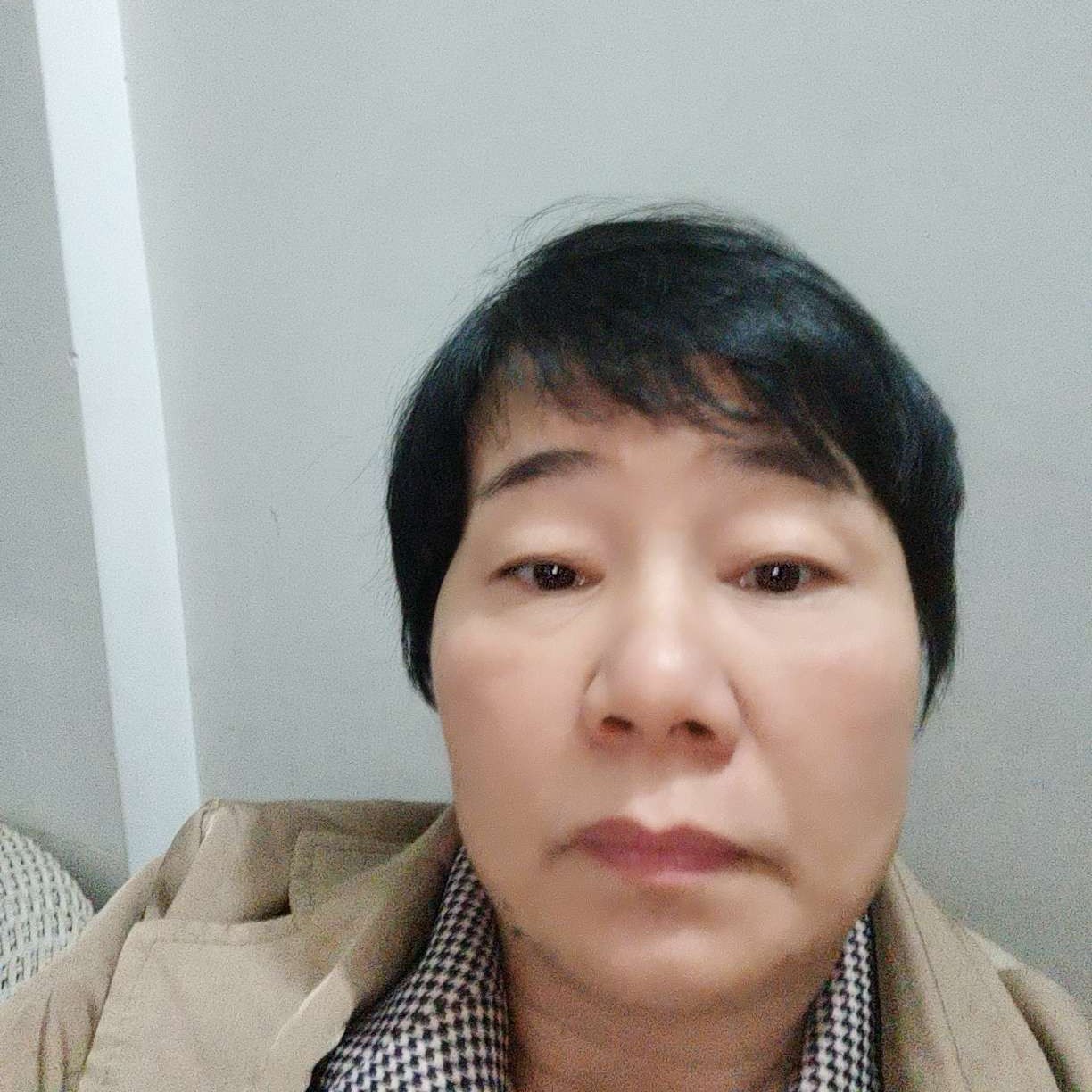 懵懂多么刺猬的照片