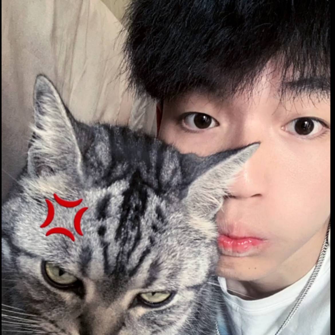 石头倾心透彻的照片