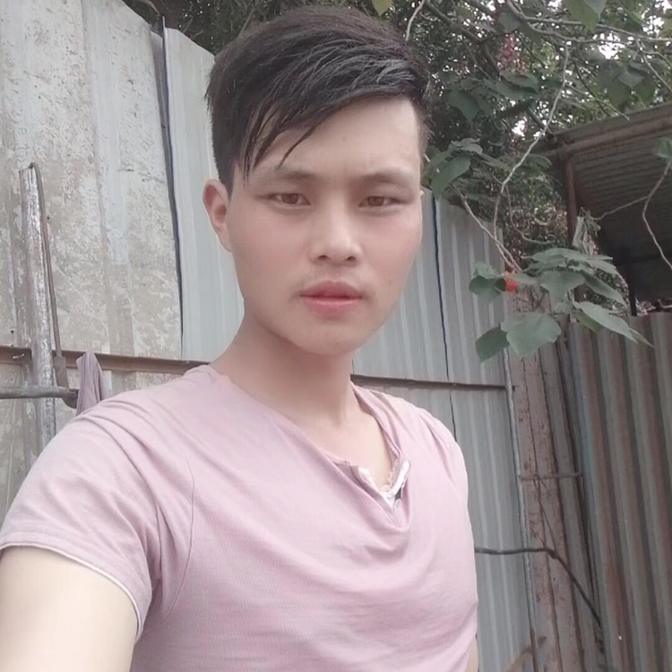 逐风演变单纯的照片