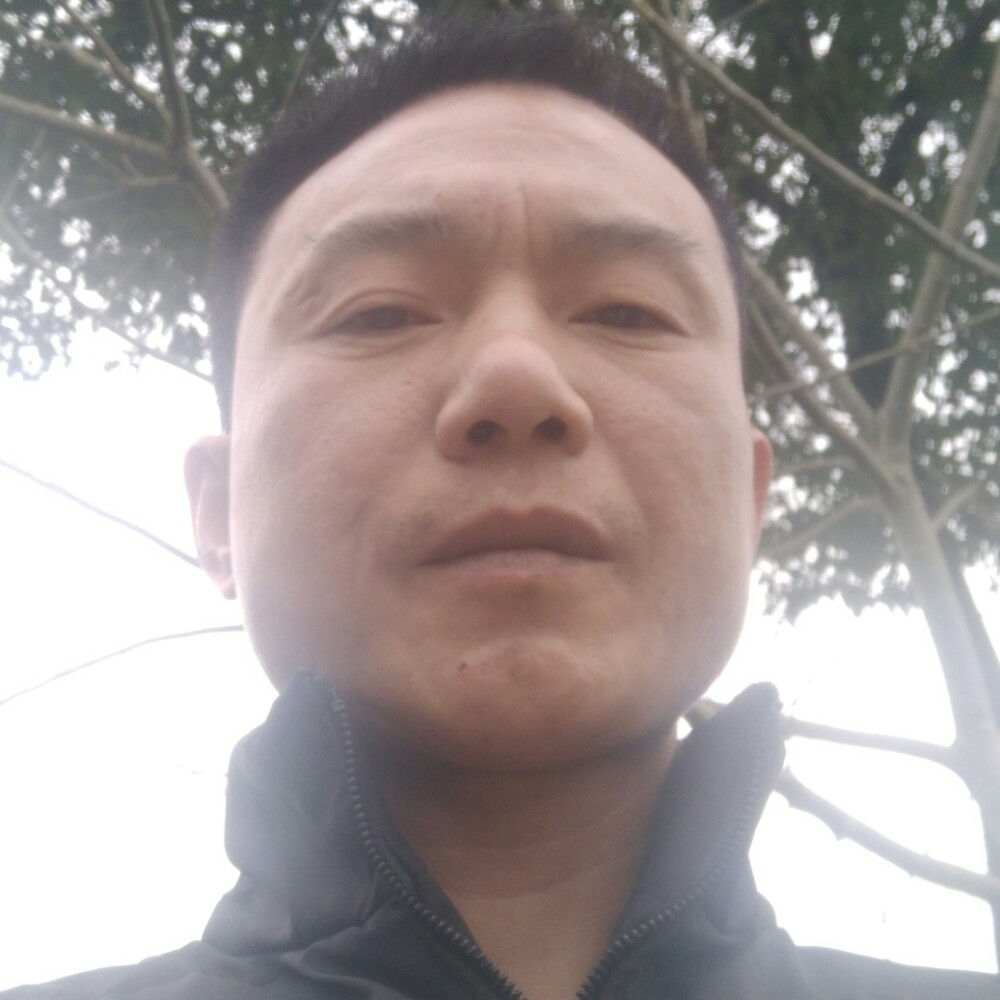 坚定数据线的照片